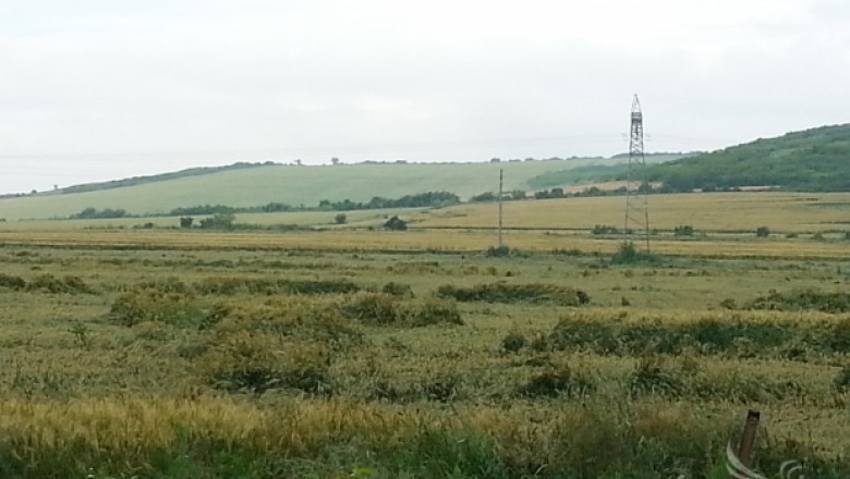 Над 200  хектара земеделски култури в област Силистра са напълно пропаднали 