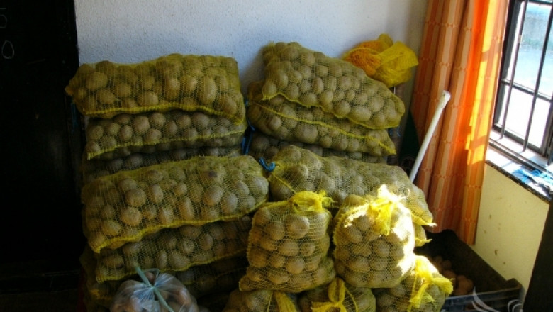 Провалена реколта от картофи в Родопите. Очакват ценови скок