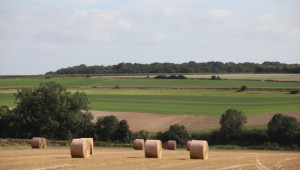 Европейската банка за развитие ще подпомага агросектора и селските райони в ЕС - Agri.bg