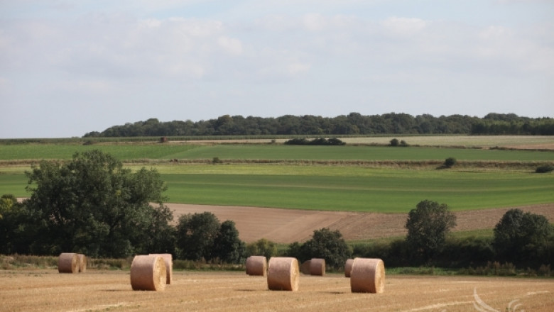 Европейската банка за развитие ще подпомага агросектора и селските райони в ЕС