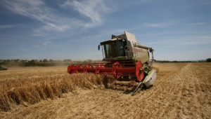361 кг/дка е средният добив от пшеница досега в област Търговище - Agri.bg
