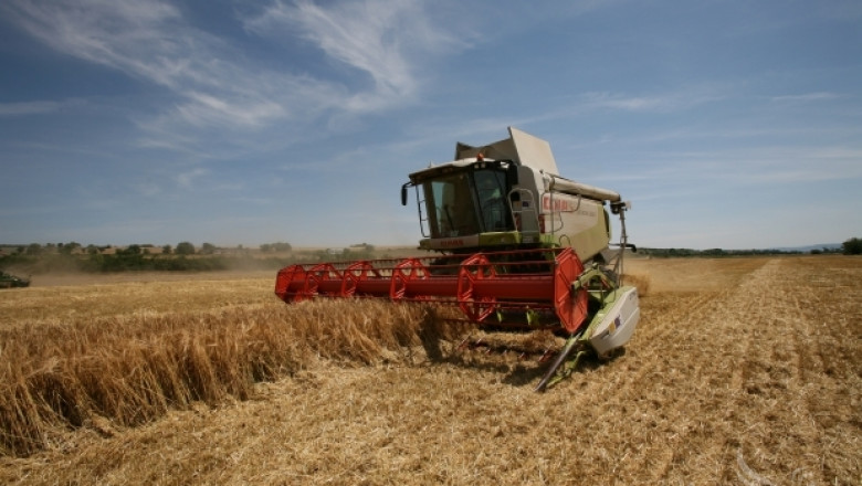 361 кг/дка е средният добив от пшеница досега в област Търговище