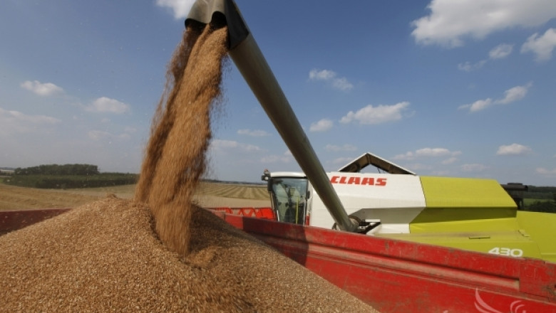 Стартовите цени на пшеницата ще са 260-270 лв./т според експерти