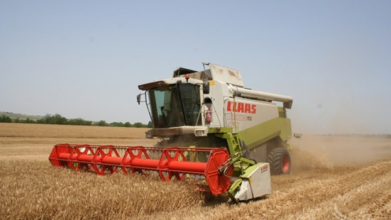 Близо 500 кг/дка е средният добив досега от пшеница в област Плевен