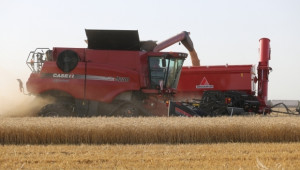 МЗХ: За поредна година ще бъде реализиран голям износ на пшеница - Agri.bg