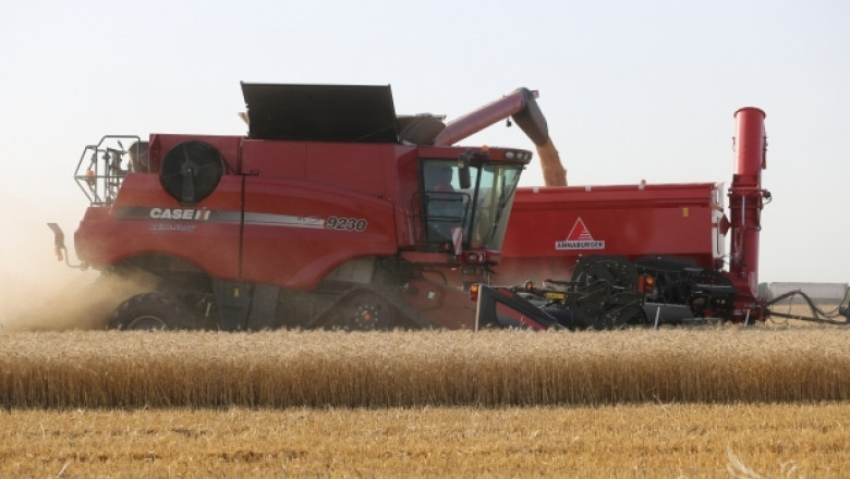 МЗХ: За поредна година ще бъде реализиран голям износ на пшеница
