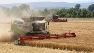 Георги Милев, НАЗ: Очаквам пазарът на зърно да стартира от 260-270 лв./т - Agri.bg