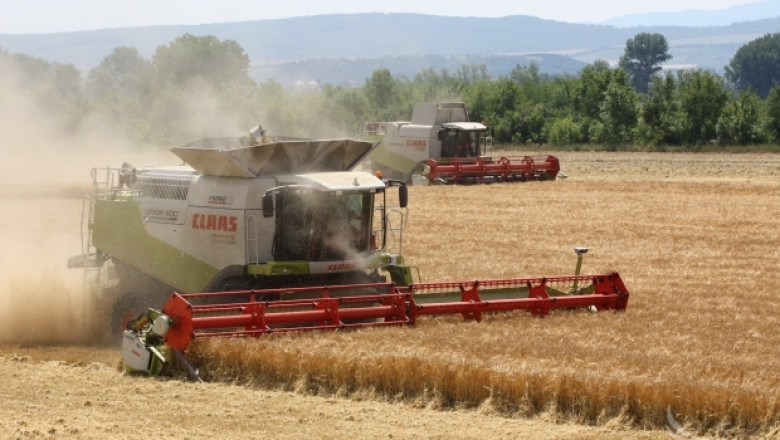 Георги Милев, НАЗ: Очаквам пазарът на зърно да стартира от 260-270 лв./т