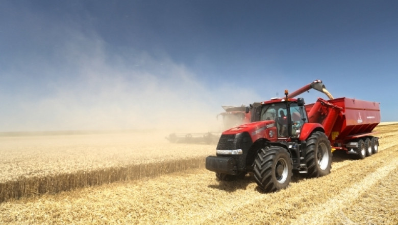 Нови данни на IGC : България ще ожъне 4,8 млн.тона зърно