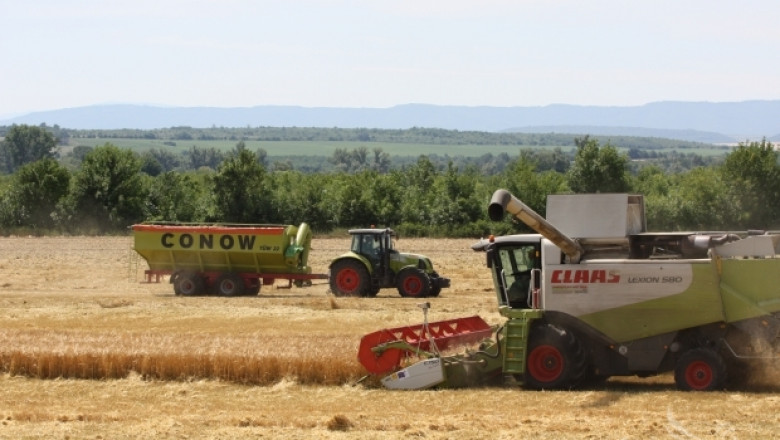460 кг/дка е средният добив от пшеница в Добруджа до момента