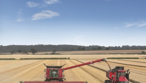 Тайтън Машинъри България подготвя опит за рекорд при жътва на пшеница - Agri.bg