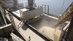 Египет купи 240 000 тона пшеница от България и Румъния на цена 184 EUR/т. - Agri.bg