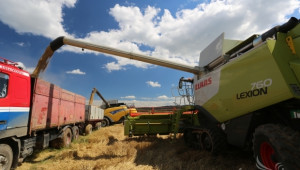 Ройтерс: Зърнената реколта в България с 15% спад на очакванията - Agri.bg