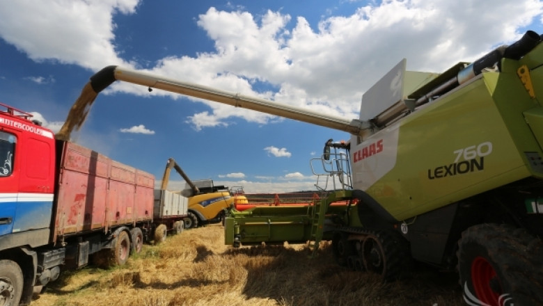 Ройтерс: Зърнената реколта в България с 15% спад на очакванията