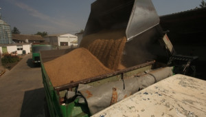 Очакваната зърнена реколта е около 4.7 млн. тона, заяви министър Димитър Греков - Agri.bg