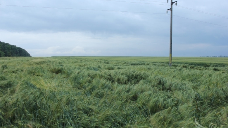 Димитър Греков: Близо 60 хиляди декара земеделски култури са напълно унищожени 
