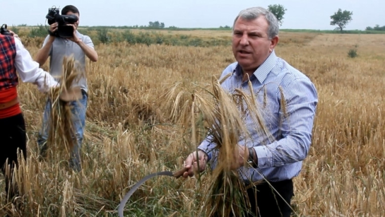 Димитър Греков: Надяваме се на по-високи цени за пшеница реколта 2014 (ВИДЕО)