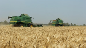 Повече комбайни ще прибират зърнената реколта тази година - Agri.bg