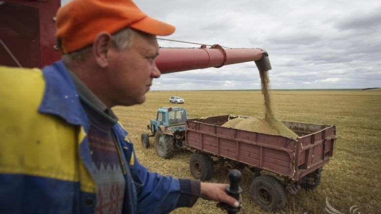 Ройтерс: 80% от зърното в България е с мелничарски качества
