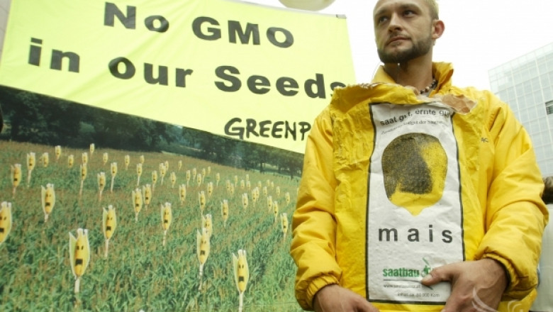 Страните на ЕС ще решават на национално ниво отглеждането на ГМО култури