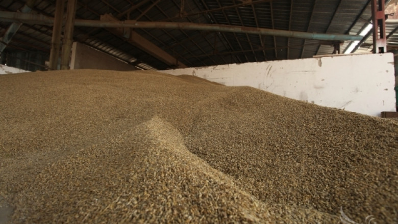 По-ниски добиви и изкупни цени на зърно прогнозират от Софийска стокова борса