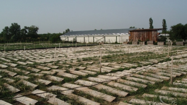  Проект на МЗХ променя изискванията към фермите за червеи и охлюви