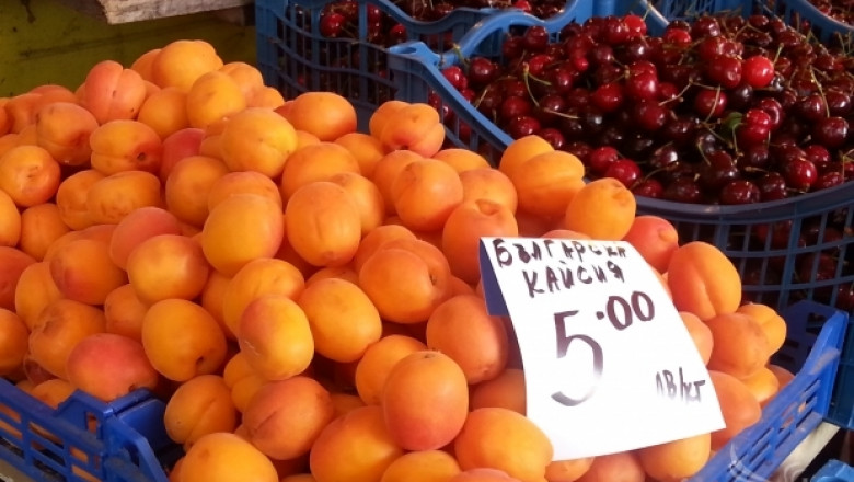 Първите български кайсии вече са на пазара на цена 5 лв./кг (СНИМКИ)
