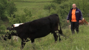 Митко Петров, млад фермер: Без мерак, не може да си успешен производител! (ВИДЕО) - Agri.bg