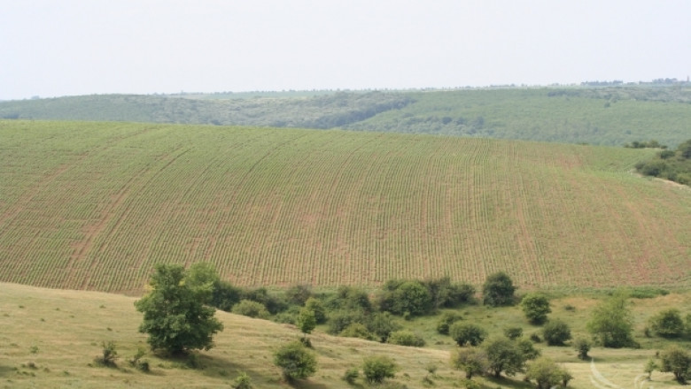 Община Шумен продава на търг 400 декара земеделски земи