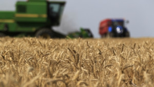 Стабилен пазар на зърното се очаква за реколта 2014 - Agri.bg