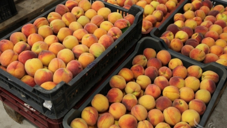 Някои производители получиха само 2/3 от субсидиите за плодове и зеленчуци