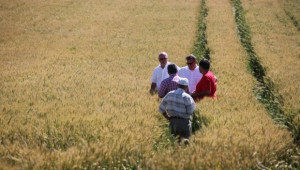 България и Азербайджан задълбочават сътрудничеството си в земеделието - Agri.bg
