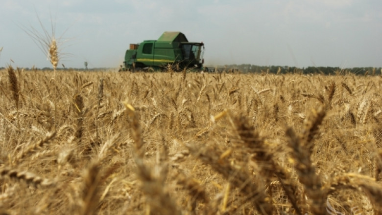 Зарко Иванов: Не очакваме добри резултати от зърнена реколта 2014 (ВИДЕО)