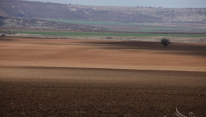 160 лв. за декар общинска земя дадоха земеделски производители на търг - Agri.bg