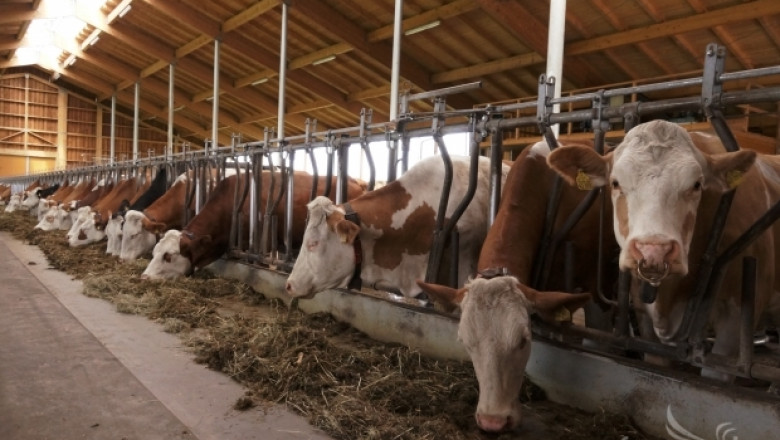 Държавна гаранция за животновъди поискаха фермери от ръководството на ДФЗ