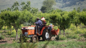 Над 179 хиляди са заетите в селското стопанство по данни на НСИ - Agri.bg