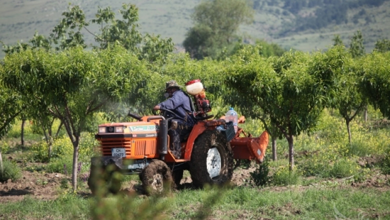 Над 179 хиляди са заетите в селското стопанство по данни на НСИ