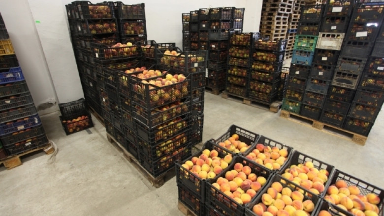 Цветан Цеков, АЗПБ:  8 ст/кг качествени плодове са абсолютно недостатъчни (ИНТЕРВЮ)