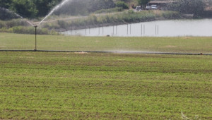 1/3 от потреблението на вода в Европа е за земеделие - Agri.bg