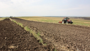 НСИ: Цената на продукцията от селско стопанство намалява  - Agri.bg