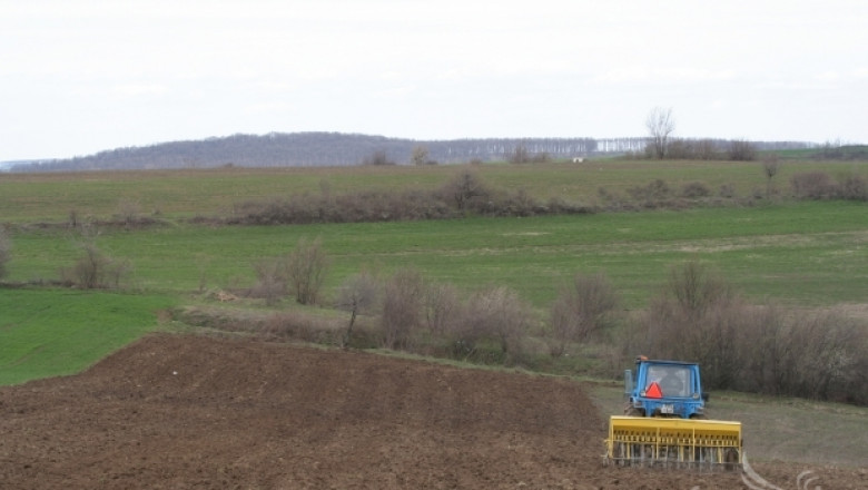Сеитбата на слънчоглед и царевица в Североизточна България продължава