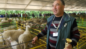 Хюсеин Абдулов, фермер: Българските овцеферми са технологично изостанали  - Agri.bg