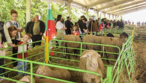 Съборът на овцевъдите събра над 30 хил. гости в първия ден (ФОТОРЕПОРТАЖ) - Agri.bg