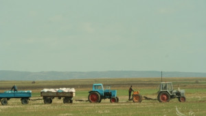 Фермерите декларират до днес доходите си за 2013 г. пред НАП - Agri.bg