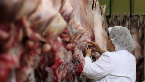 Липсата на българско месо затруднява преработвателите, алармират от бранша - Agri.bg