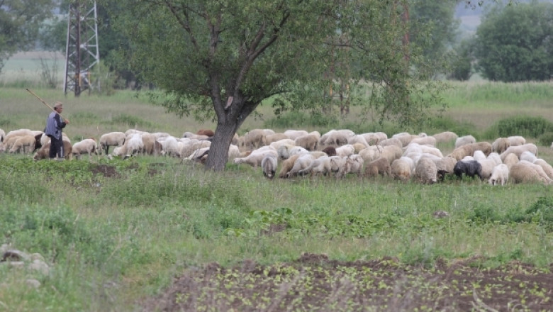 България да ползва опита на Аржентина в селското стопанство, предлага посланик Асрак