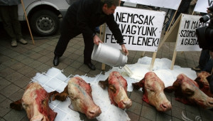 ООН: ЕС трябва да намали потреблението на месо (ВИДЕО 18+) - Agri.bg