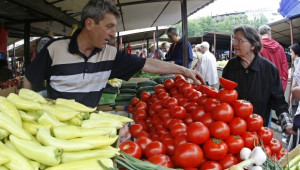  МЗХ: Близо 3.5 млн. лв. са предвидени за производители на плодове и зеленчуци  - Agri.bg