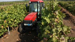 Лозарите ще се подпомагат за реколта на зелено с 3 млн. евро  - Agri.bg