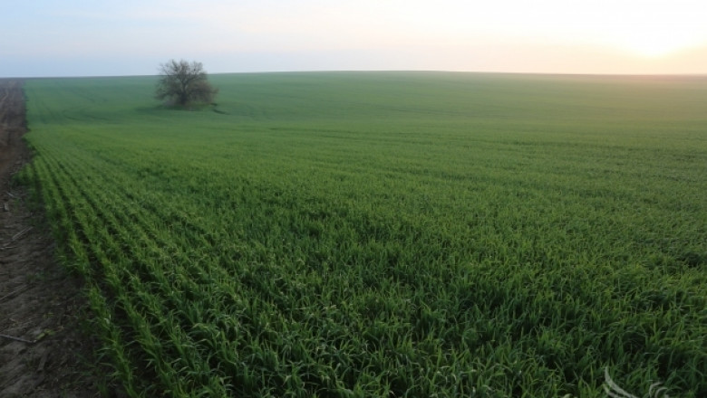 Компания от Саудитска Арабия ще инвестира дългосрочно в агросектора в България
